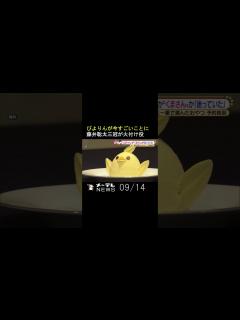 [画像][x]ぴよりんが今すごいことに 藤井聡太三冠が火付け役 #Shorts - YouTube 余白なし