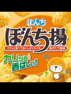 [画像][x]あられ・せんべいのぼんち株式会社 余白なし
