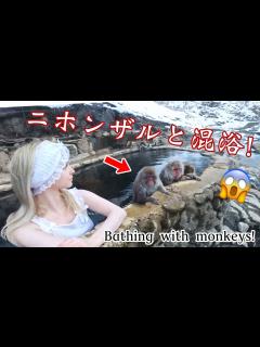 [画像][x]ニホンザルと外国人一緒に混浴温泉入った♨️🐒 長野旅館 - YouTube 余白なし