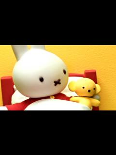 [画像][x]くまちゃんの にゅういん | ミッフィー | まとめ動画 - YouTube 余白なし