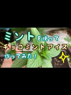 [画像][x]ミントを使ってチョコミントアイスクリームを作ってみた！ - YouTube 余白なし