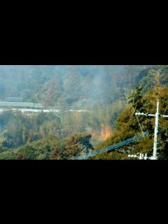 [画像][x]林野火災に遭遇 - YouTube 余白なし