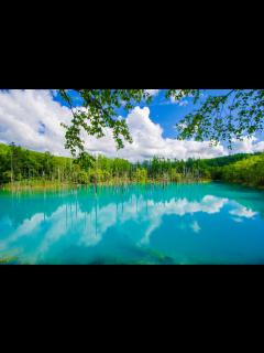 [画像][x]北海道の観光・旅行情報サイト HOKKAIDO LOVE! 余白なし