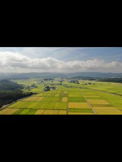 [画像][x]徹子の部屋 平野レミ 長男と上野樹里の結婚 - YouTube 余白なし