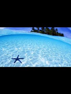 [画像][x]フジテレビ「世界の絶景100選」1位 ジープ島 Jeep Island - YouTube 余白なし