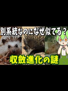 [画像][x]生物の収斂進化の謎！「全ての生物はやがて蟹になる」奇妙な進化論【ずんだもん解説】 - YouTube 余白なし