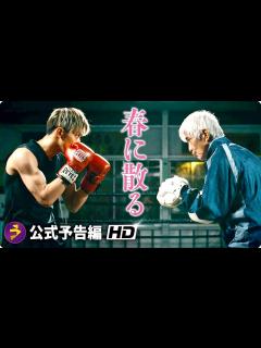 [画像][x]佐藤浩市×横浜流星主演！映画『春に散る』本予告 - YouTube 余白なし