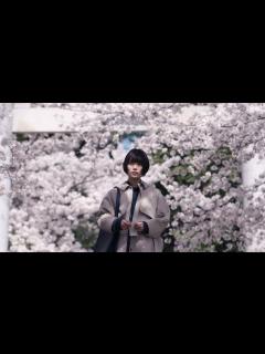 [画像][x]杉咲花が“警察の闇”に立ち向かう 映画『朽ちないサクラ』本予告 - YouTube 余白なし