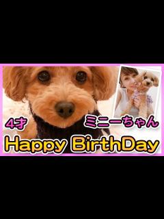 [画像][x]【愛犬ミニーちゃん】4才のお誕生日おめでとう！【渡辺美奈代】 - YouTube 余白なし