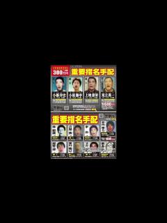 [画像][x]警察庁の重要指名手配凶悪犯罪者ポスターでマイアヒ。 - YouTube 余白なし