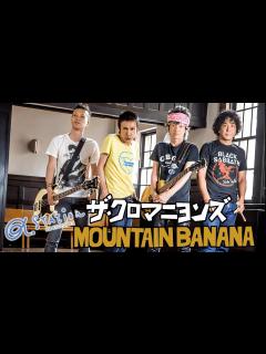 [画像][x]α-STATION Special Program『ザ・クロマニヨンズ “MOUNTAIN BANANA”』2023年1月20日【甲本ヒロト ... 余白なし