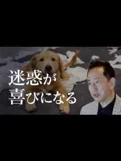 [画像][x]人に迷惑をかけずに生きたいあなたへ - YouTube 余白なし