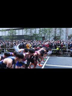 [画像][x]【4K画質推奨】第100回箱根駅伝(東京箱根間往復大学駅伝競走) 往路スタート 約3分前から 大手町にて #箱根駅伝 #東京箱根間往復大学駅伝 ... 余白なし