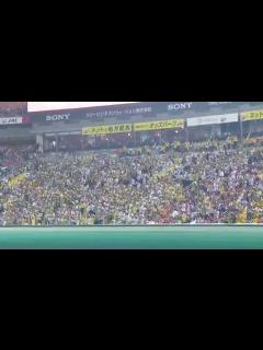 [画像][x]阪神タイガース 関本賢太郎応援歌 日本シリーズ2014第5戦 - YouTube 余白なし