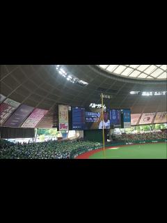 [画像][x]ベルーナドームでの阪神タイガースとの交流戦 - YouTube 余白なし
