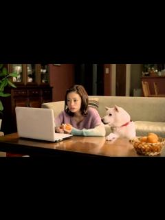 [画像][x]上戸彩 SoftBank 白戸家「津々浦々」篇 - YouTube 余白なし