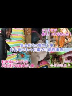 [画像][x]シイタケが一晩で毒キノコに変化した/集会所2にネットは引けるのか/電気配線/慣れてきた夜泣き猫 - YouTube 余白なし