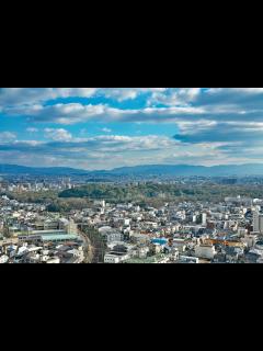 [画像][x]堺市の住みやすさ・住み心地【2025年】 - 堺に住むなら 余白なし