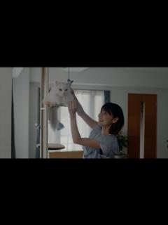 [画像][x]安達祐実×倉科カナ×渡邊圭祐 主演 映画『三日月とネコ』本編映像 - YouTube 余白なし