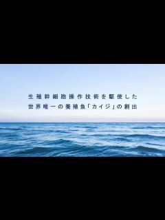 [画像][x]生殖幹細胞操作技術を駆使した世界唯一の養殖魚「カイジ」の創出 - YouTube 余白なし