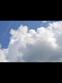 [画像][x]小树汉字）—日字演变动画_腾讯视频 余白なし