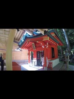 [画像][x]箱根神社と九頭竜神社新宮参拝♪ - YouTube 余白なし