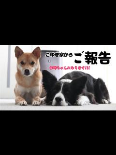 [画像][x]【私事ですが…】ご報告したい事があります - YouTube 余白なし