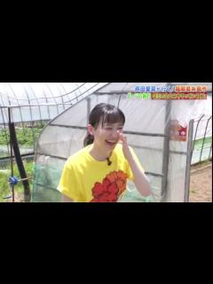 [画像][x]芦田愛菜ちゃんのダーツ旅 - YouTube 余白なし