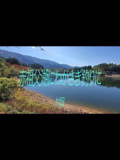 [画像][x]10月28日 富山県 赤祖父湖にわかさぎ釣りに - YouTube 余白なし