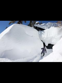 [画像][x]Record snowfall buries California mountain town - ABC News 余白なし