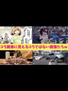 [画像][x]コラ画像に見える本当の画像をいろいろまとめてみたぞーー！！！！！！需要があれば第2弾も制作するぞーー！！！ - YouTube 余白なし