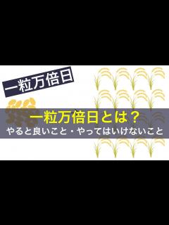 [画像][x]一粒万倍日とは？やってはいけないこと・やると良いこと｜日本の年中行事YouTubeチャンネル - YouTube 余白なし