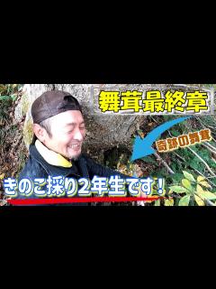 [画像][x]キノコ採り2年生の彼が舞茸愛の限界に挑戦！今シーズン舞茸最終章！ - YouTube 余白なし