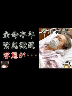 [画像][x]宮川花子の余命半年の切ない難病...緊急搬送された現在の容態に涙が零れ落ちた...『宮川大助・花子』で有名な夫婦漫才師の娘の現在や相方の正体 ... 余白なし