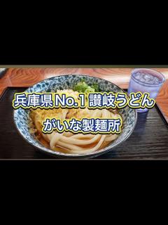 [画像][x]【がいな製麺所】兵庫県No.1讃岐うどん - YouTube 余白なし