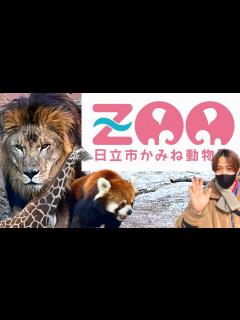 [画像][x][かみね動物園]茨城県の有名動物園へ！新しくできた猛獣舎をはじめ、ゾウ、カバと会おう！広大な敷地に動物多すぎ/ Hitachi - YouTube 余白なし