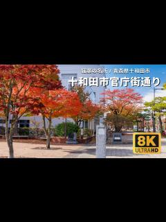 [画像][x]青森県の紅葉名所 - 青森県十和田市 十和田市官庁街通り 日本の道100選 - YouTube 余白なし