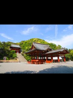 [画像][x]鶴岡八幡宮 ｜神社情報｜あまはし 余白なし