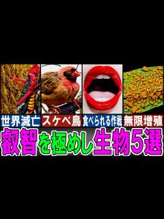 [画像][x]繫殖能力がヤバすぎる生き物5選【ゆっくり解説 余白なし