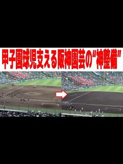 [画像][x]甲子園球児支える阪神園芸の“神整備” 「日本一の球場」とも呼ばれる甲子園 躍動する球児たちを裏で支える阪神園芸の整備は圧巻 ... 余白なし