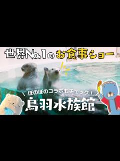 [画像][x]【鳥羽水族館vlog】鳥羽水族館のメイちゃん&キラちゃんお食事ショータイム🦦隠れラッコスポットやぼのぼのコラボも紹介♪【世界のラッコ紀行③ ... 余白なし