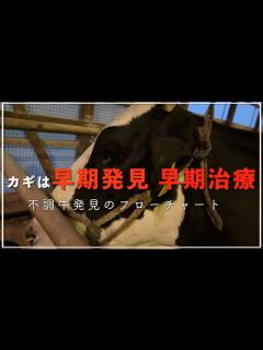 [画像][x]牛のどこを見ればいい？不調牛の見つけ方。観察のフローチャート付き。 - YouTube 余白なし