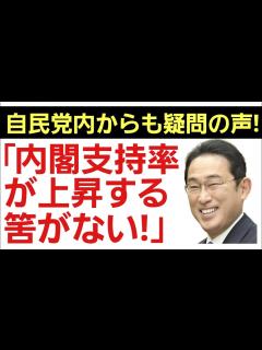 [画像][x]「そんなはずがない！」内閣支持率上昇を喜ぶ筈の自民党議員からですら疑問と批判の声！ - YouTube 余白なし