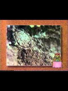 [画像][x]むしまるQ すてきなきみ （ 再） - YouTube 余白なし