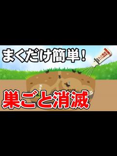 [画像][x]簡単アリ退治！！アリの巣ごと一気に消滅！！！ - YouTube 余白なし