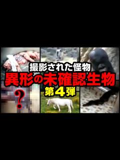 [画像][x]撮影された怪物 異形の未確認生物 第4弾 - YouTube 余白なし