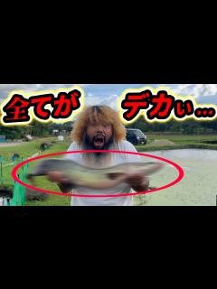 [画像][x]巨大養魚場の生体の種類に驚き!!大注目､日本初の繁殖も...!? - YouTube 余白なし