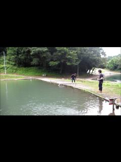 [画像][x]バニラアイス作ってみた。【赤髪のとも】 - YouTube 余白なし