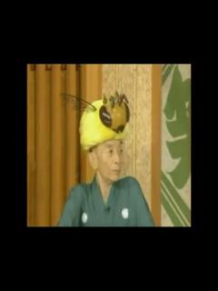 [画像][x]笑点メンバー罵倒集 蛍から蜂へ - ニコニコ動画 余白なし