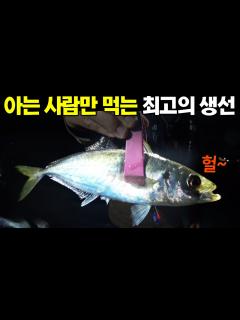 [画像][x]회도 구이도 다 맛있는 생선 타작해서 맛있게 먹고 왔습니다 - YouTube 余白なし